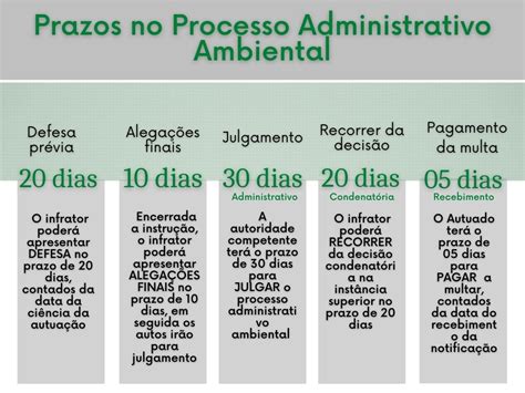 Auto De Infra O Ambiental Fui Autuado O Que Fazer