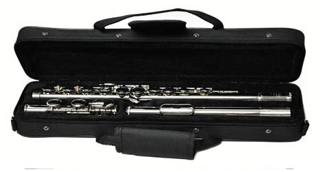 The 5 Best Flute Brands for Beginners (Reviews-2022) | SonoBoom.com