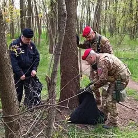 Scoperto Dai Carabinieri A Dormire In Un Bivacco Li Ha Aggrediti Lo