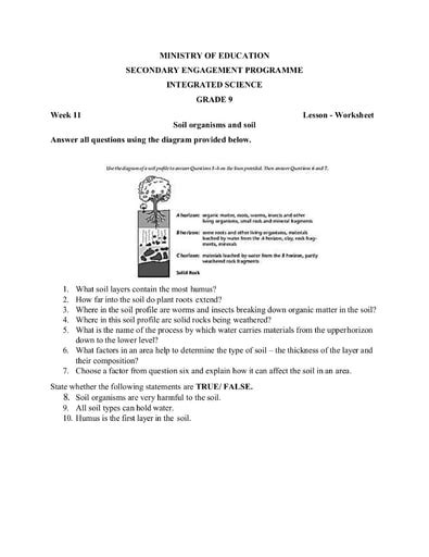 Grade 9 Integrated Science Week 11 Lesson 1 Worksheet 1 And Answer Sheet