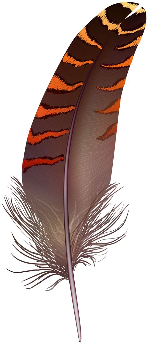 Feather Clip Art Png