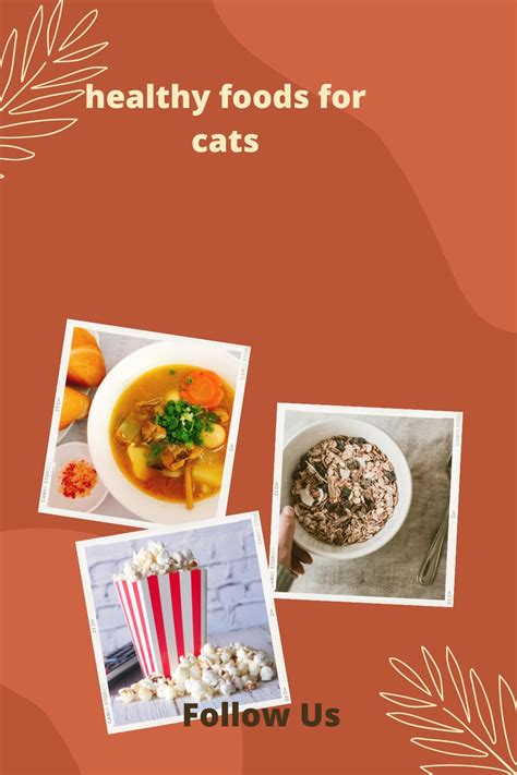 healthy foods for cats - Yoors