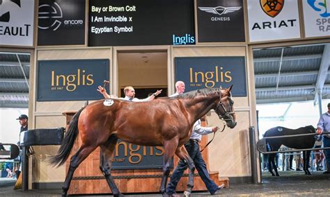 Maher Comes Up Trumps With 15 Million Inglis Easter Colt By I Am