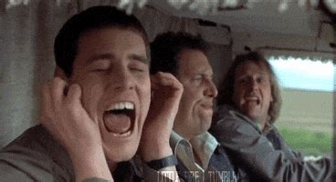 Dumb And Dumber GIFs - Find & Share on GIPHY