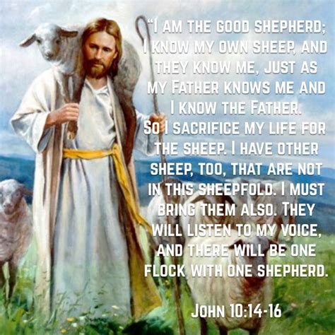 John 10 14 16 New Living Translation NLT The Good Shepherd John