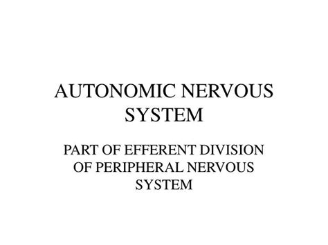 Ppt Autonomic Nervous System Powerpoint Presentation Free Download