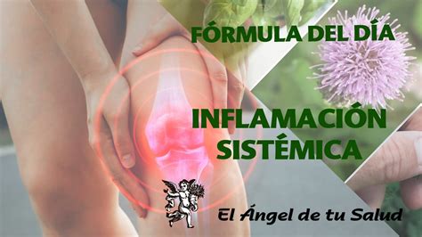 FÓRMULA HERBOLARIA PARA TRATAR INFLAMACIÓN SISTÉMICA YouTube