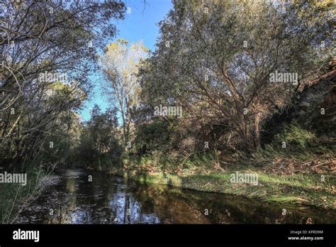 Río Cuenca los ojos en Sonora México reserva privada zona de