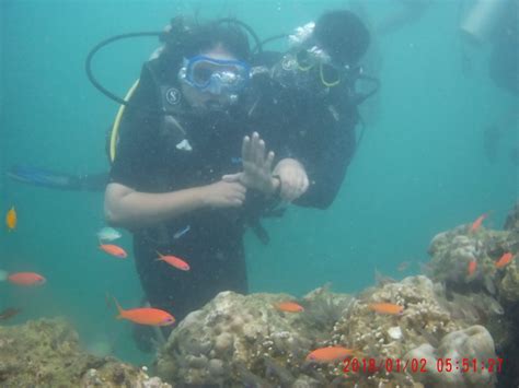 Scuba Diving in Andaman - Dekho Andaman