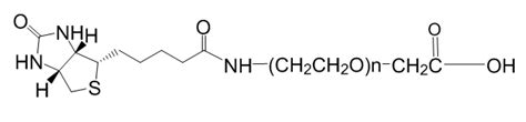 Biotin Peg Cooh Cd Bioparticles