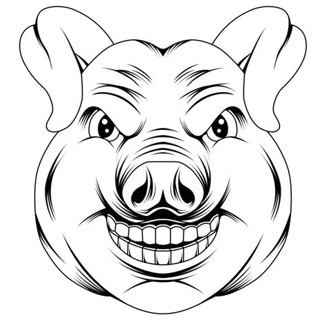 Pig Head Vector Illustration 23368321 Vector Art At Vecteezy