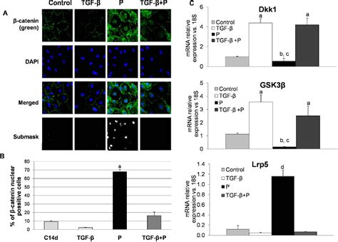 Figure From Tgf B Prevents Phosphate Induced Osteogenesis Through