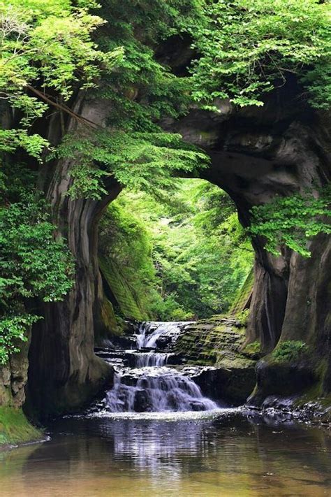 Яндекс Избранное | Nature photography, Nature pictures, Landscape ...