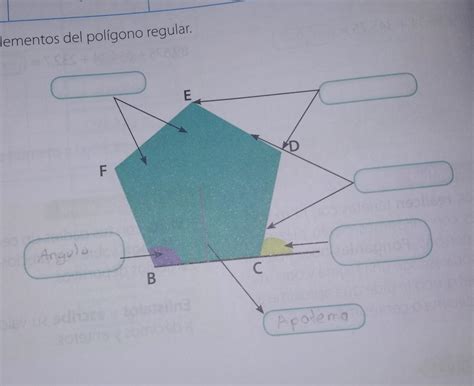 3 Identifica Los Elementos Del Poligono Regular Brainly Lat