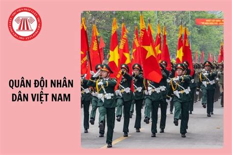 baocaovien vn đăng nhập thi trắc nghiệm Quân đội nhân dân Việt Nam 80