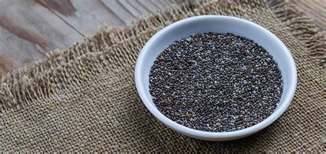 Chia Seeds Benefits for Skin - Syra Aesthetics