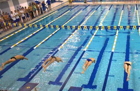 University Of Delaware Men S Swimming Diving Vs Last Chance Meet