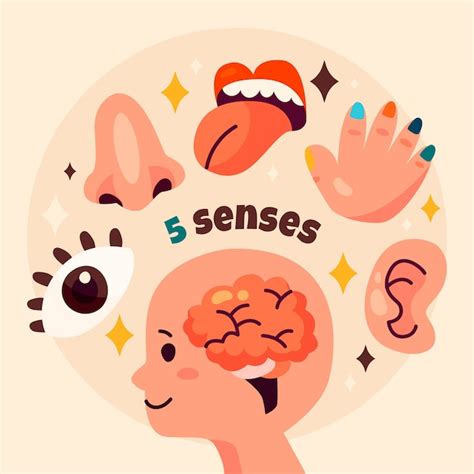 Free Vector | Hand drawn 5 senses illustration