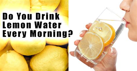 Do You Drink Lemon Water Every Morning Give Me Wellness