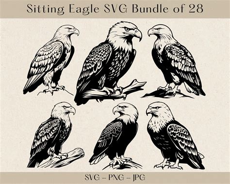 Sitting Eagle SVG Eagle SVG Eagle SVG Bundle Eagle Svg Files For