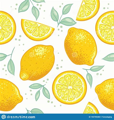 Citrus Lemon Vector Illustration Cartoondealer