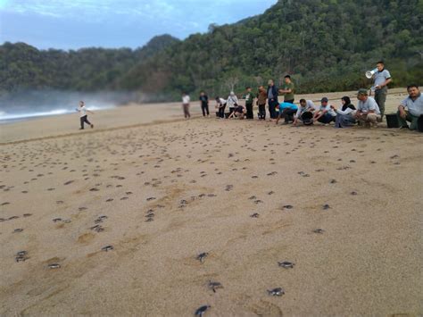 Taman Nasional Meru Betiri