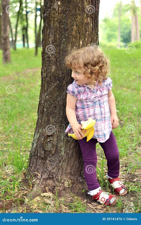 Het Zoete Babymeisje Verbergen Achter De Boom Stock Foto Image Of