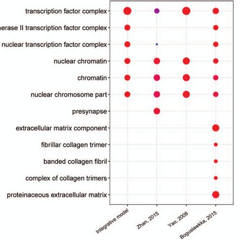 Gene Ontology GO And KEGG Pathway Enrichment Comparison In 4 Models