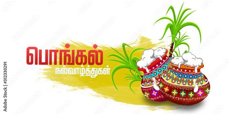 South Indian Festival Pongal Background Template Design Illustration ...