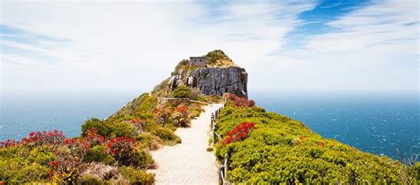 explore cape town   iconic table mountain ct tourism