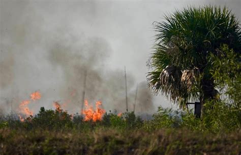 ‘Contained’ brush fire near Broward-Palm Beach County line, FHP says ...