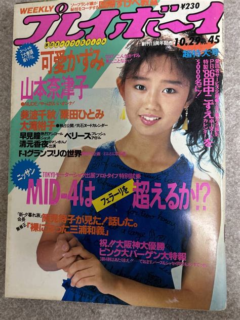 【全体的に状態が悪い】週刊プレイボーイ 1985年 昭和60年10月29日 可愛かずみ 山本奈津子 美波千秋 栗田ひとみ 早見瞳の落札情報詳細