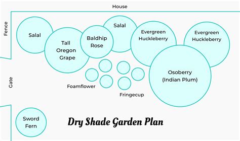 Hardy Pnw Plants That Grow In Dry Shade Gardens