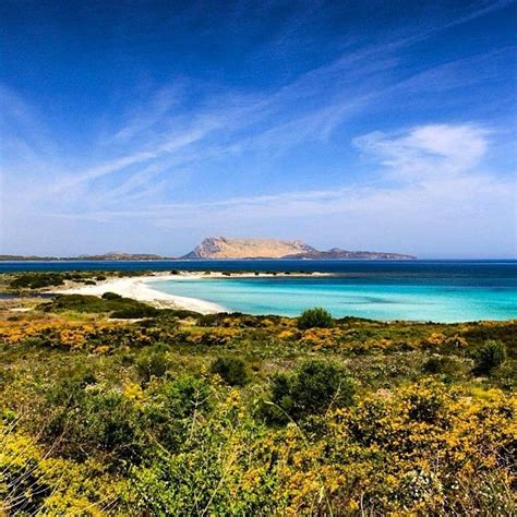 Spiaggia Isuledda Costa Caddu San Teodoro Sardegna Sardegna