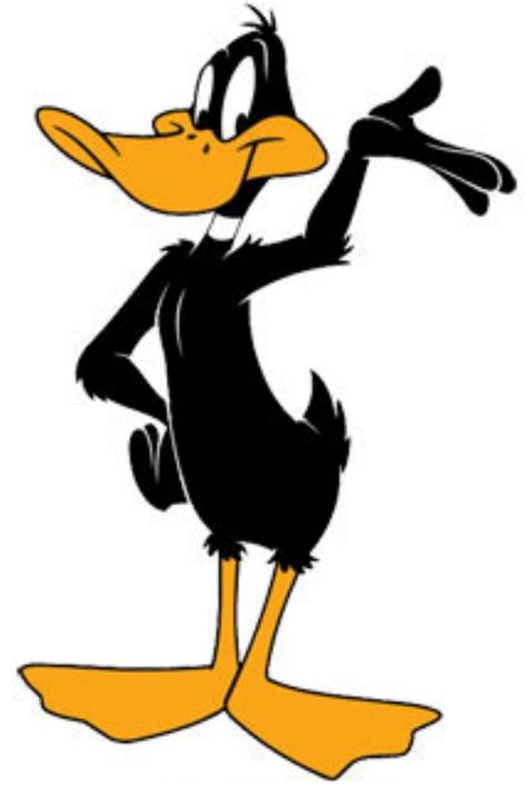 Image - DaffyDuck.jpg - Looney Tunes Wiki