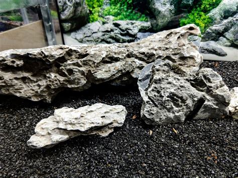 SEIRYU RYUOH STONE ADA STYLE AQUASCAPING IWAGUMI GREY PILLAR AQUARIUM