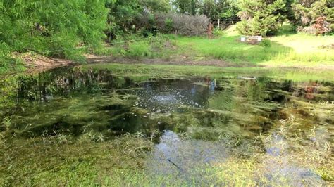 Pond Aeration With Hiblow Hp 120ll Septic Pump Youtube