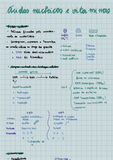 Solution Acidos Nucleicos E Vitaminas Biologia Studypool