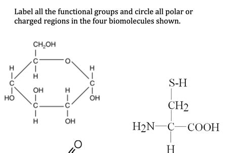 Solved Label All The Functional Groups And Circle All Polar Or Charged