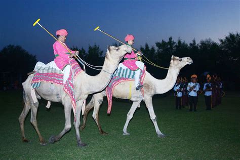 Experience Royal Camel Polo In India GDA Global DMC Alliance