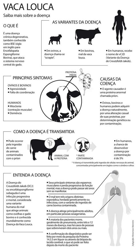 Sintoma Da Vaca Louca - O Que é Doença Da Vaca Louca - NAZAEDU