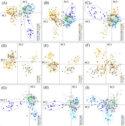 Results Of Discriminant Analysis Of Principal Components Dapc Plots Download Scientific