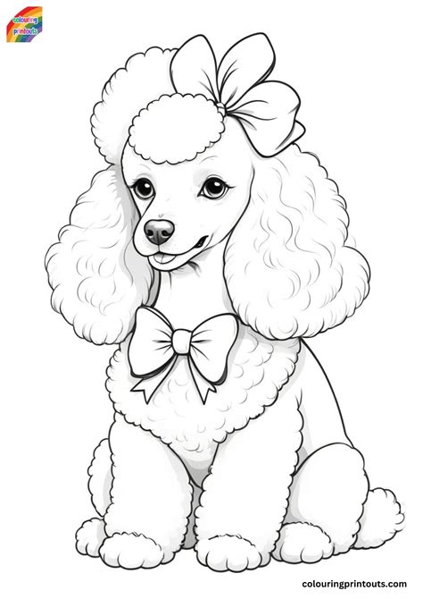 15 Coloring Pages Of Poodles Free Printables