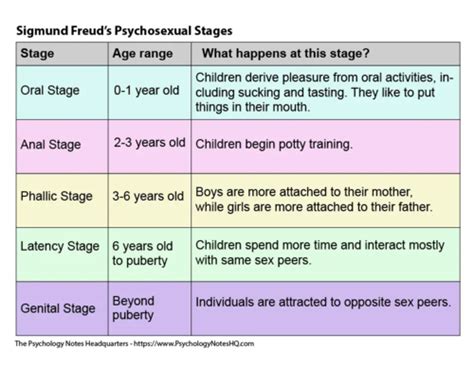 Chapter Potter Sexuality Flashcards Quizlet