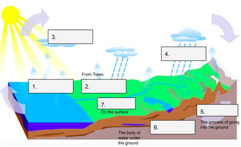 Water Cycle Diagram Quiz