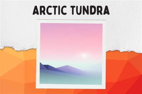 Arctic Tundra Graphic By Wonderwallart · Creative Fabrica