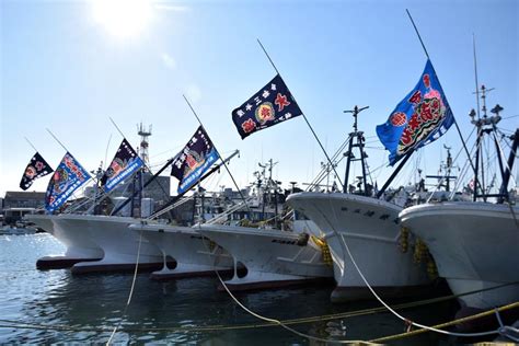 銚子漁港、11年連続の水揚げ量日本一 イワシとサバ好調 サンマは記録的不漁 千葉日報オンライン