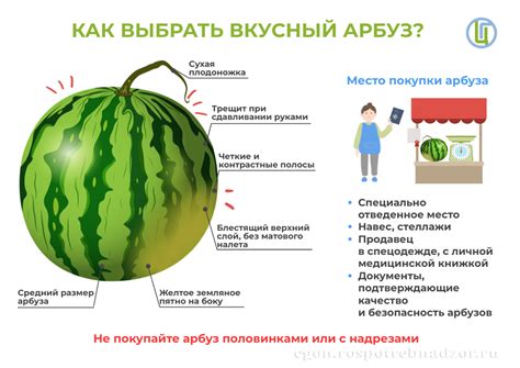 Как выбрать вкусный арбуз