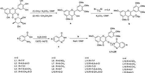 Design Synthesis Antibacterial Activity Antiviral Activity And