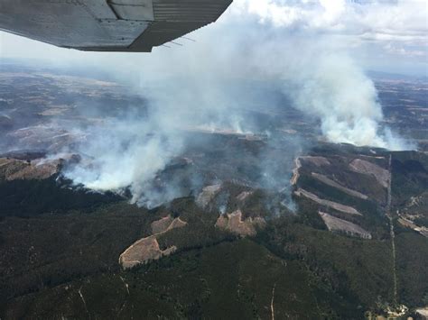 Incendios Forestales Han Destru Do M S De Mil Hectareas De Bosque En Lumaco